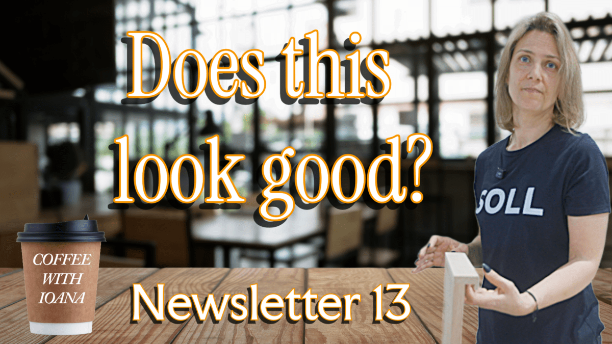 Newletter 13